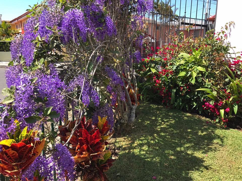 Casa Kibi Kibi Hotel San Jose  Luaran gambar